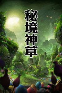 可怜猫的救援